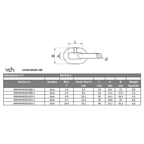 VDH VDH Hijsketting - Grade 100  - Ø 8 mm - 1 meter - 2,5 ton