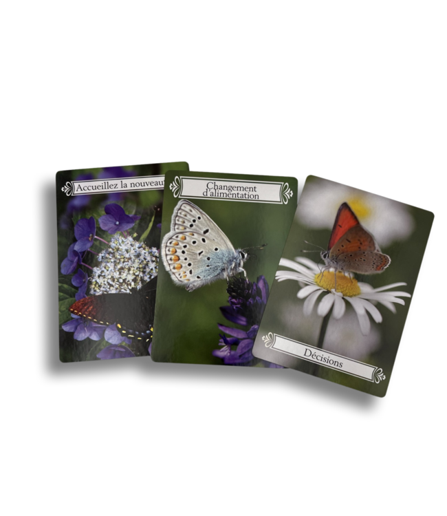 Luma Creation Oracle de la Transformation