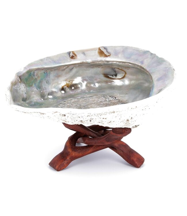 Luma Creation Support bois coquillage d'ormeau ou abalone