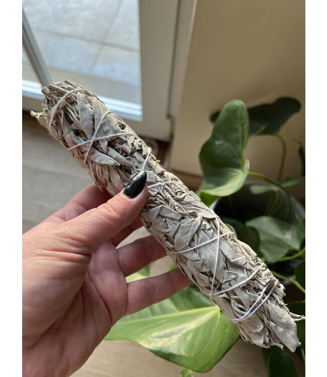 Luma Creation Sauge blanche