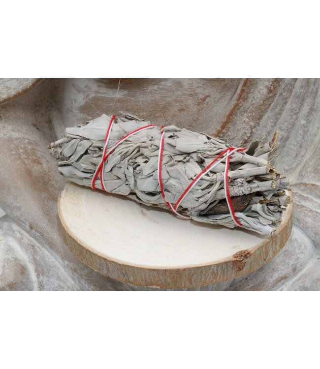 Luma Creation Sauge blanche