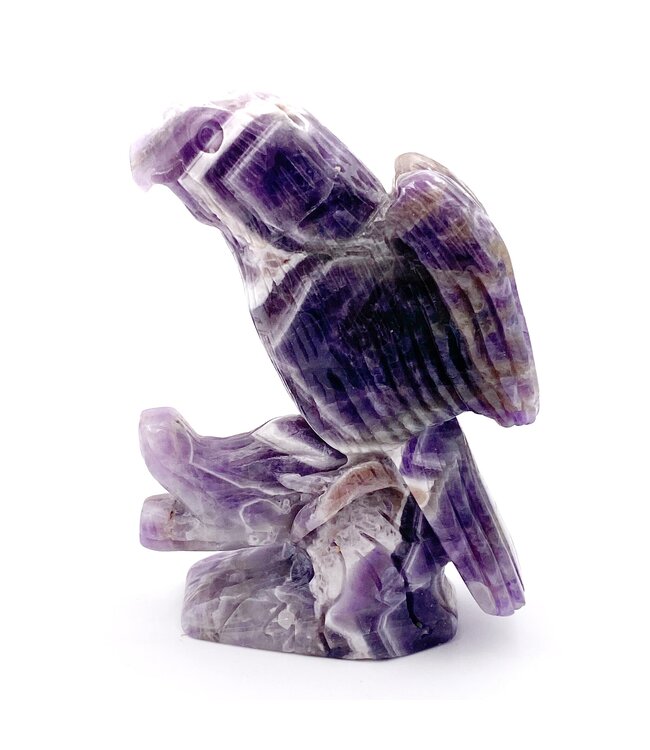 Luma Creation Oiseau