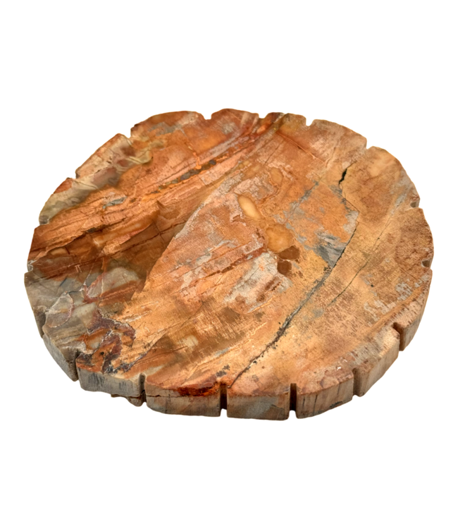 Luma Creation Bois pétrifié