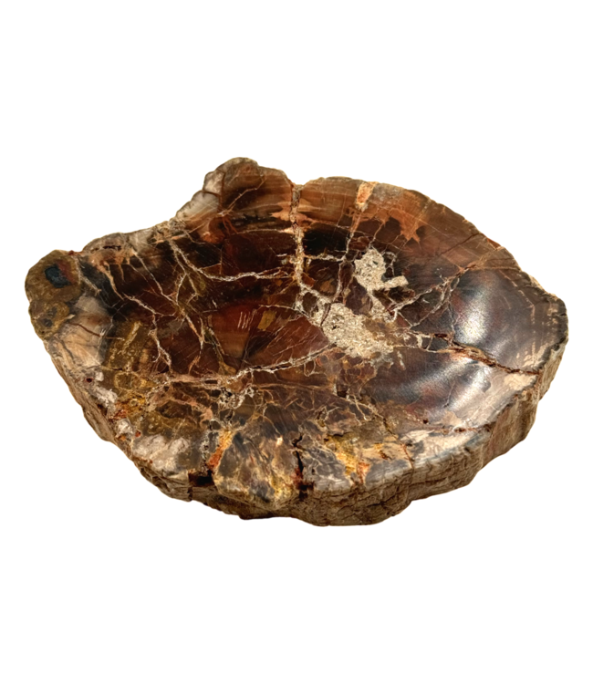 Luma Creation Bois pétrifié