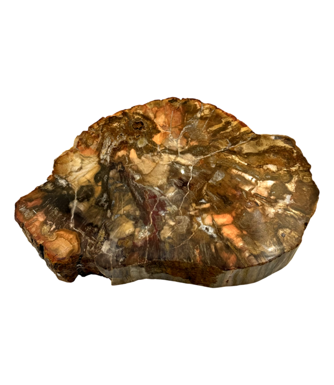 Luma Creation Bois pétrifié