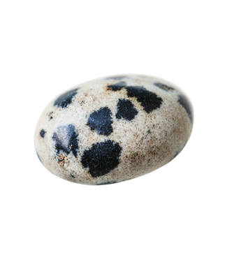 Pierre roulée jaspe dalmatien
