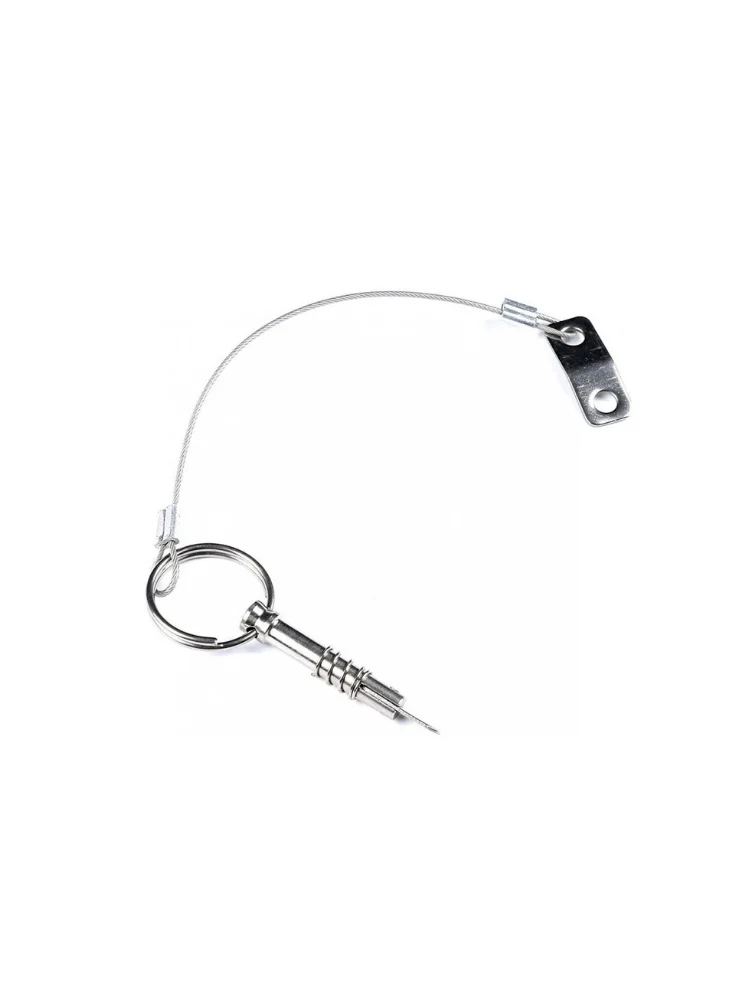 Borgpen met kabel - RVS 316