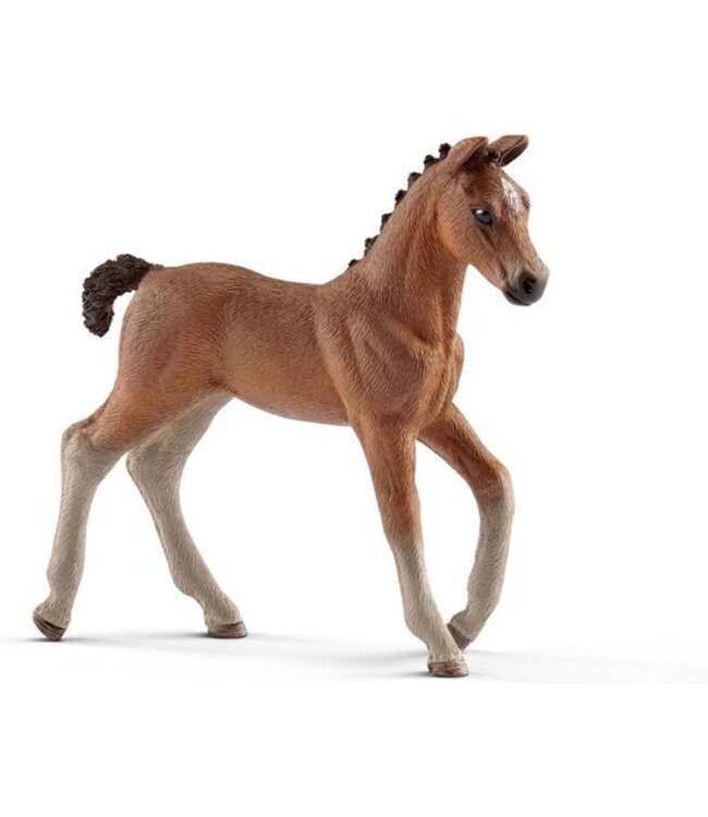 Schleich Hannoveraan veulen - 13818