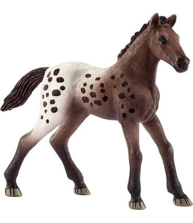 Schleich 13862 - Appaloosa veulen