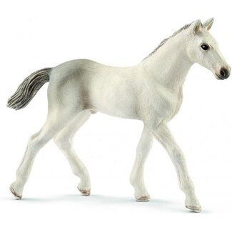 Schleich Schleich 13860 - Holsteiner veulen - Horse Club