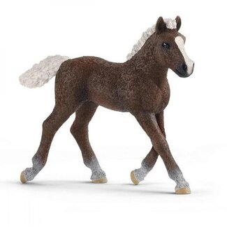 Schleich Schleich 13899 -  Schwarzwälder veulen -  Farm World