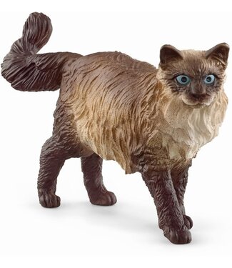 Schleich Schleich 13940 - Ragdoll kat - Farm world