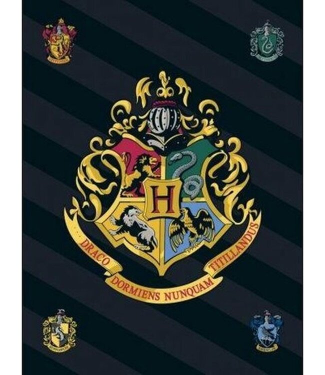 Harry Potter fleece deken - logo