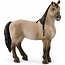Schleich 13948 - Criollo Definitivo merrie - Horse club
