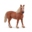 Schleich Schleich 13941 Belgische fokmerrie - Farm World