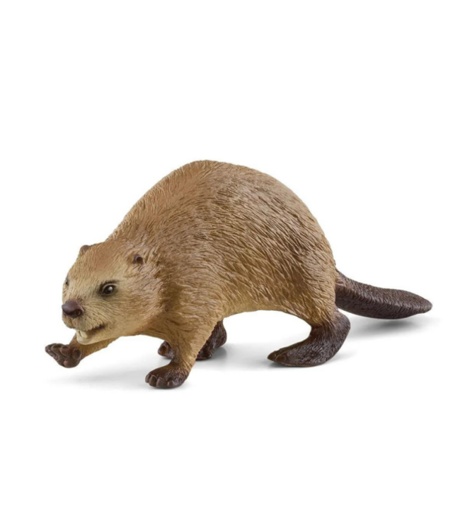 Schleich 14855 Bever - Wild Life