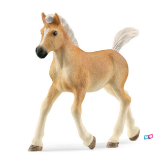 Schleich Schleich 13951 Haflinger veulen - Horse club