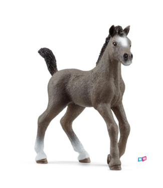 Schleich Schleich 13957 Selle Français-veulen - Horse club