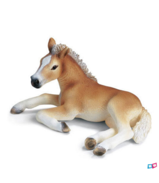 Schleich 13292 - Haflinger veulen