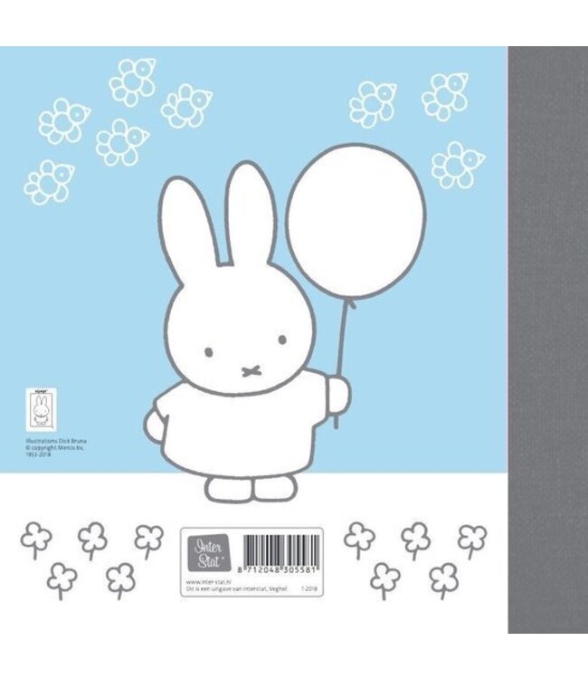 Nijntje Baby’s Eerste Jaar boek in blauw – bewaak herinneringen van het eerste jaar