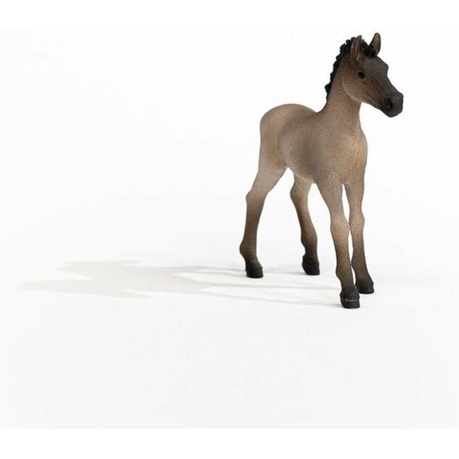 Schleich 13949 - Criollo Definitivo veulen - Horse club