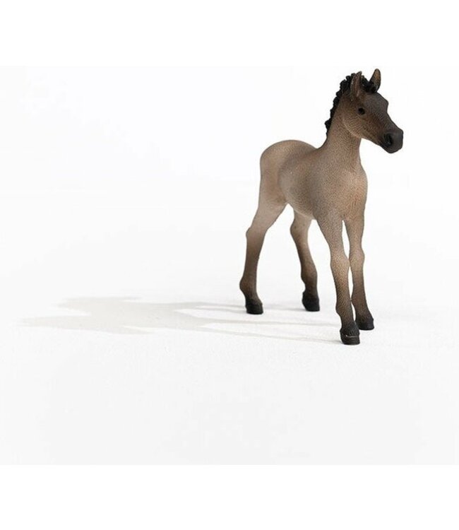Schleich 13949 - Criollo Definitivo veulen - Horse club