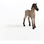 Schleich 13949 - Criollo Definitivo veulen - Horse club