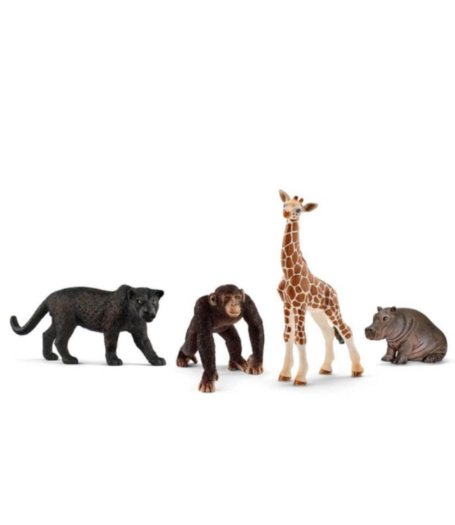 Schleich 72162 - Starterset wilde dieren - Wild Life