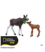 Schleich 42603 - Eland familie - Wild Life