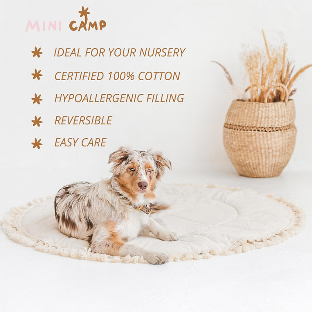 https://cdn.webshopapp.com/shops/353549/files/461097826/file.jpg