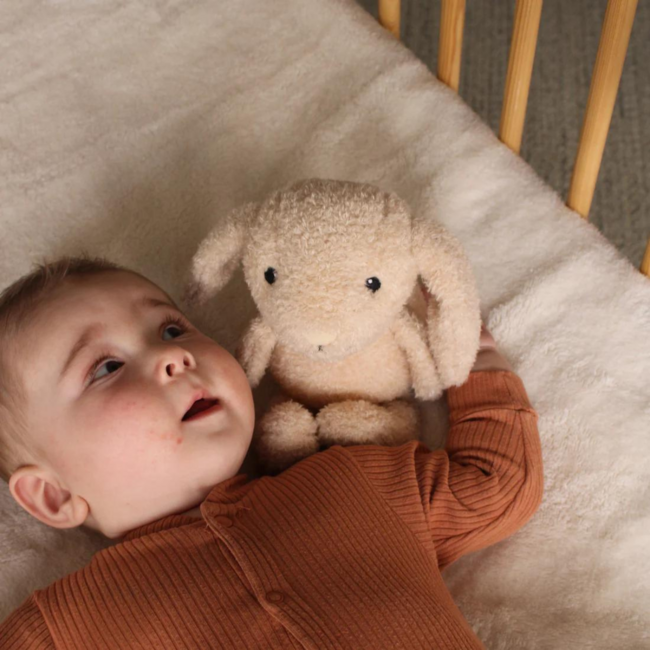 Knuffel met nachtlampje | Konijn Milo