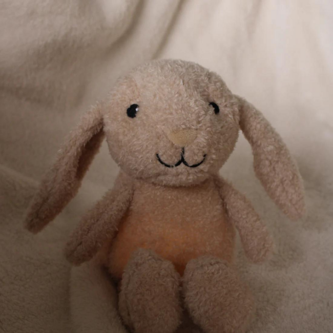 Knuffel met nachtlampje | Konijn Milo