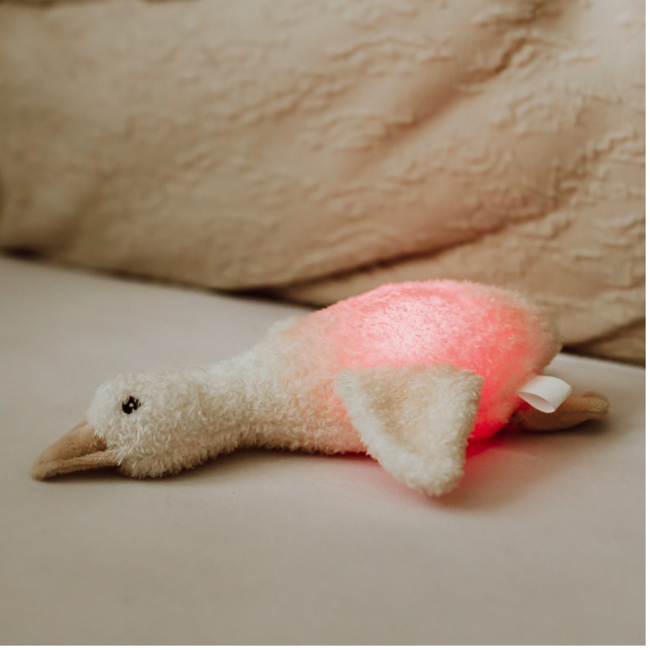 Knuffel met nachtlampje | Gans Liva