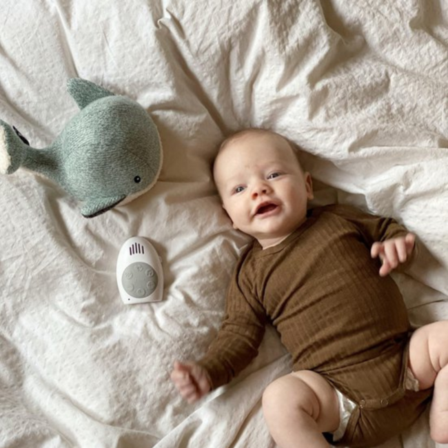 Grüner Kuschelwal Moby mit Herzschlagfunktion für Babys