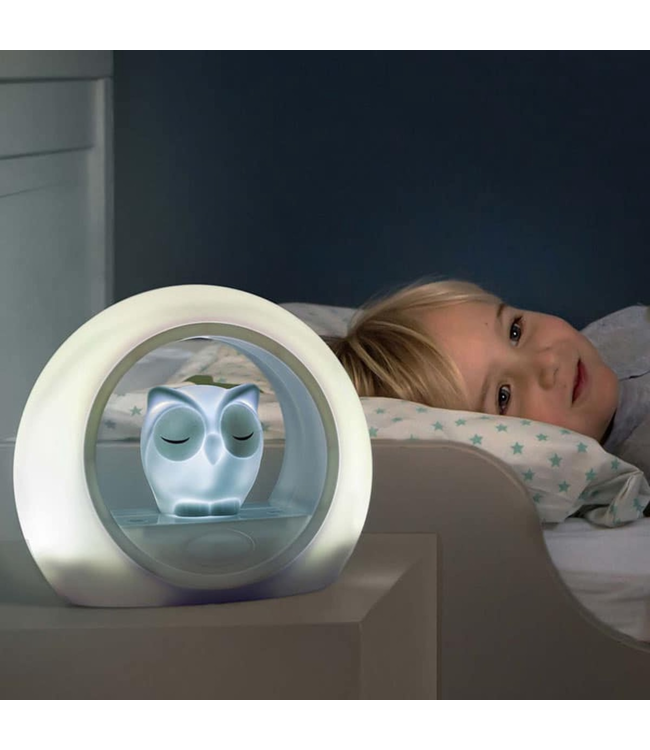 Nachtlampje uil Lou blauw met dimbare lampjes en automatische geluidssensor