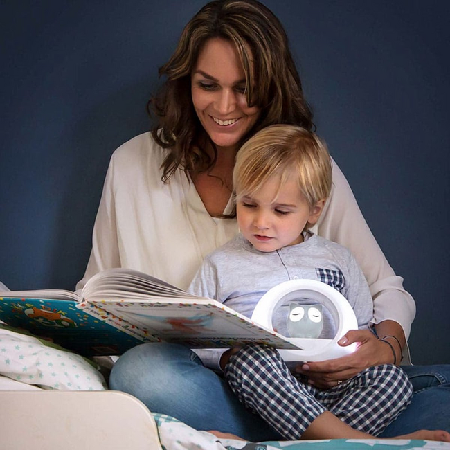 Nachtlamp uil Lou grijs met dimbare lampjes en automatische geluidssensor