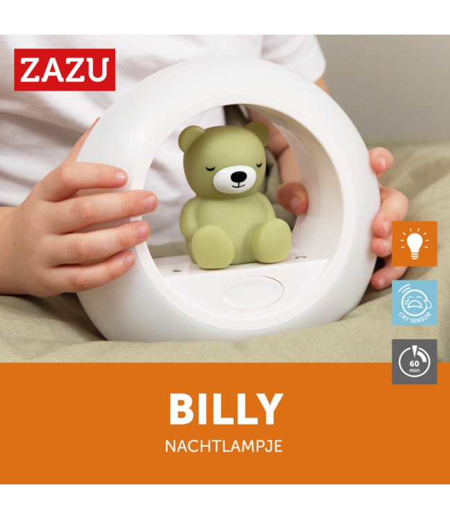 Nachtlampje beer Billy | Groen