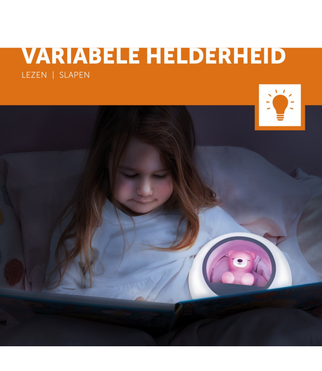 Nachtlampje beer Billy | Paars