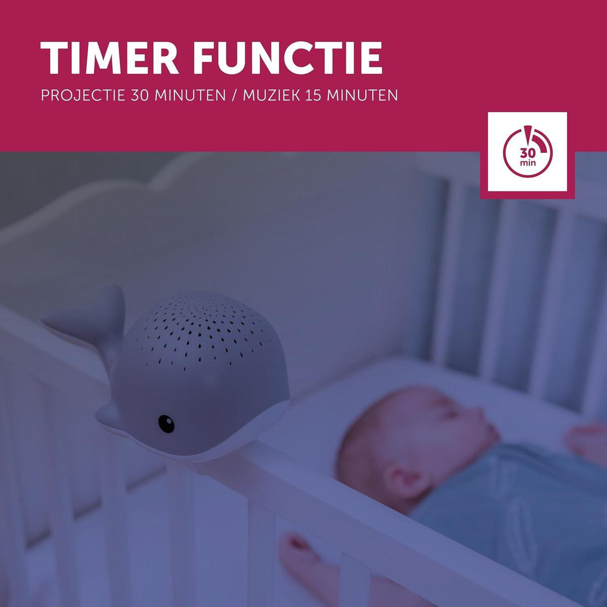 https://cdn.webshopapp.com/shops/353549/files/466448705/file.jpg