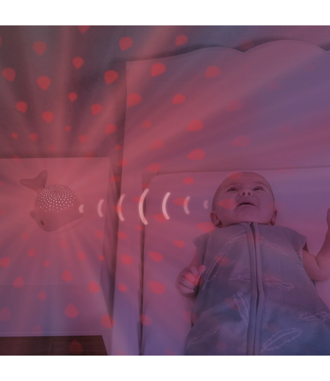 Wally walvis projector roze met rustgevende projectie en geluiden