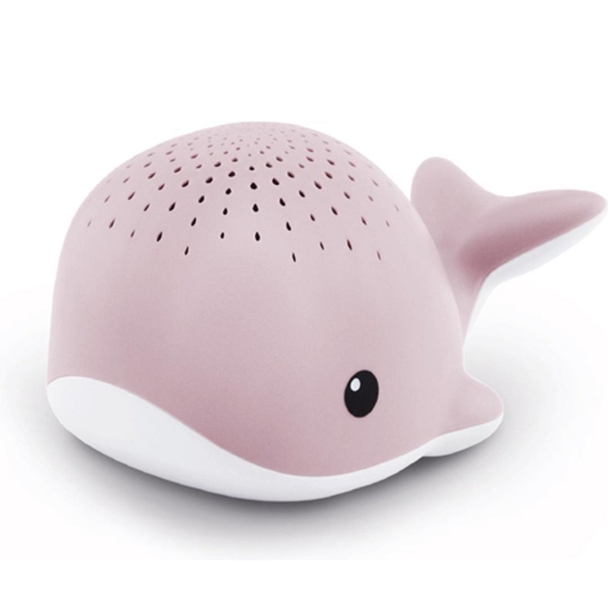 https://cdn.webshopapp.com/shops/353549/files/466448718/file.jpg