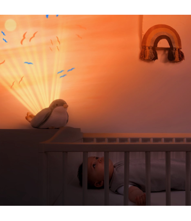 Sterrenhemel projector Sally de mus