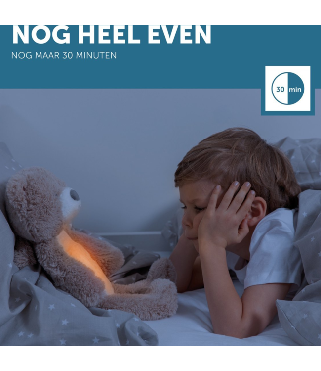 Slaaptrainer Brody beer in taupe helpt kinderen een gezond slaapritme te ontwikkelen en rustig te slapen