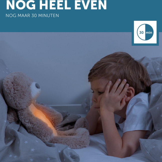 Veilleuse éducative Brody l’ours en bleu aide les enfants à dormir calmement et à développer un rythme de sommeil sain