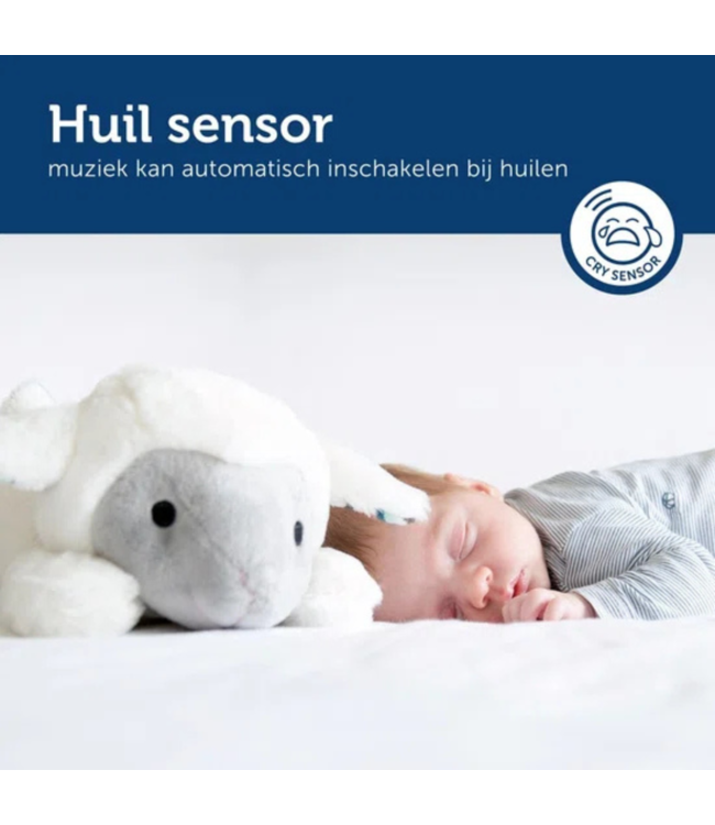 Hartslagknuffel Liz het schaap