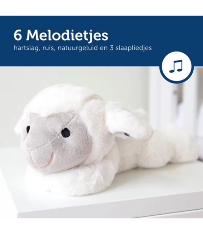 Hartslagknuffel Liz het schaap