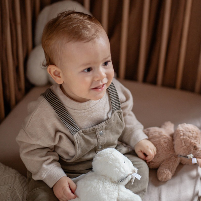 Knuffel konijn |  Ivoor | 15 cm