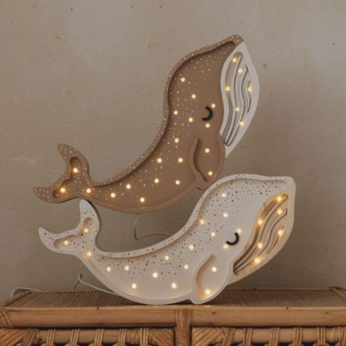https://cdn.webshopapp.com/shops/353549/files/469150305/file.jpg