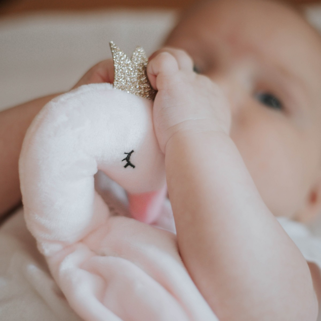 Knuffeldoekje  |  Zwaan