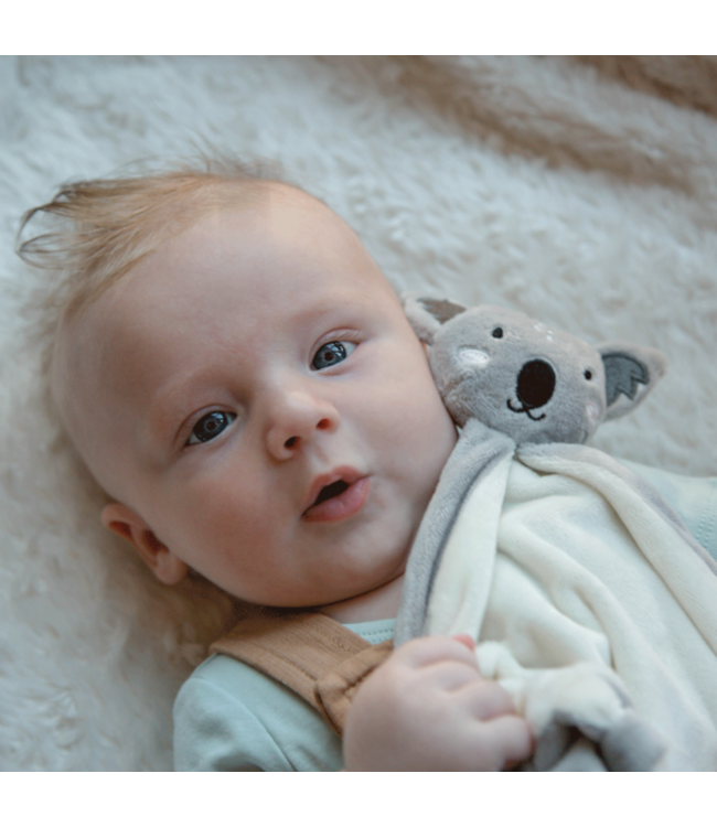 Knuffeldoekje  |  Koala